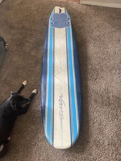 Wavestorm 8ft foam classic surfboard - needs minor repair