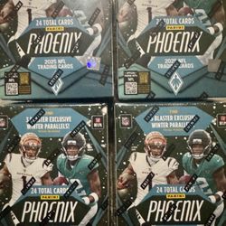 2025 Phoenix Football