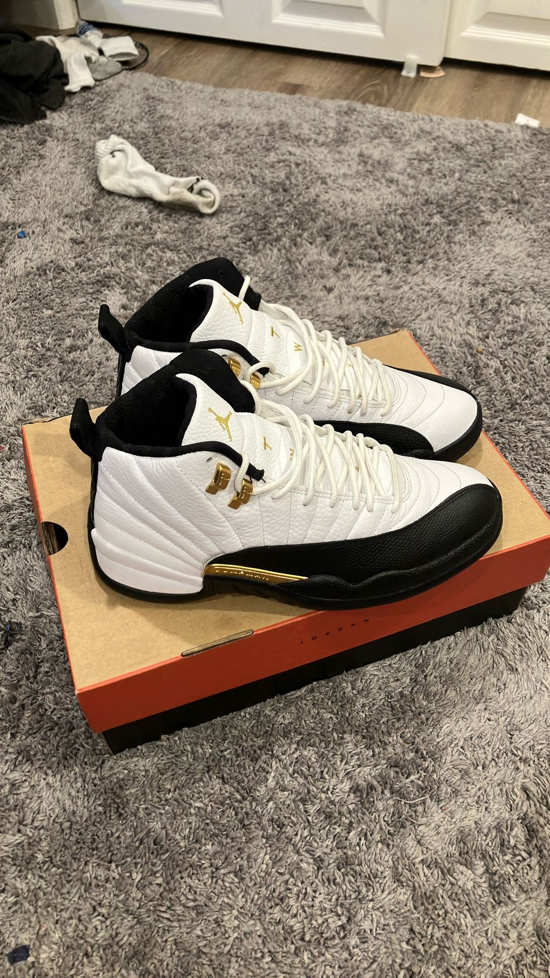 Air Jordan 12 retro