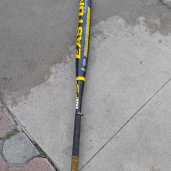 Easton Softball Bat