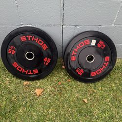 45lb Bumper Weight Plates