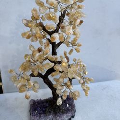 Amethyst And Citrine Money Tree