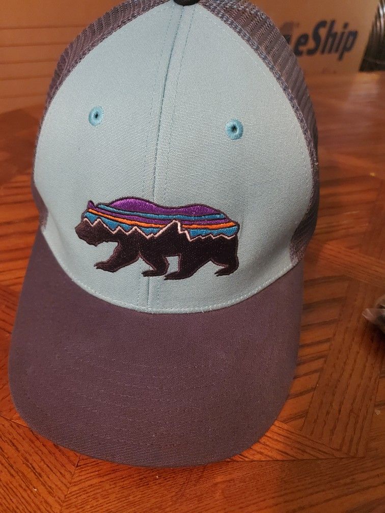 Patagonia Fritz Roy bear trucker hat blue snapback mesh