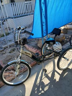 Kent 24 Inch Adult Tricycle For Sale
