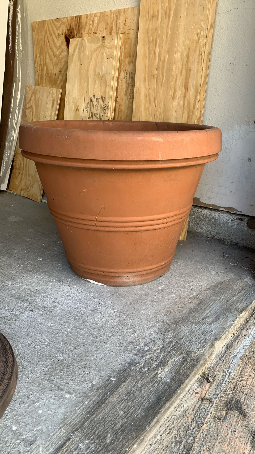 Flower Pot
