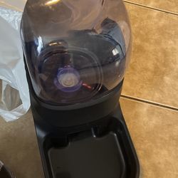 Water Plate For Dogs Or Cats