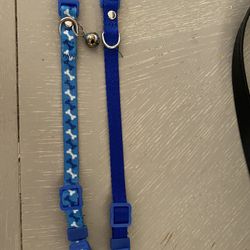Xxs Dog Collars