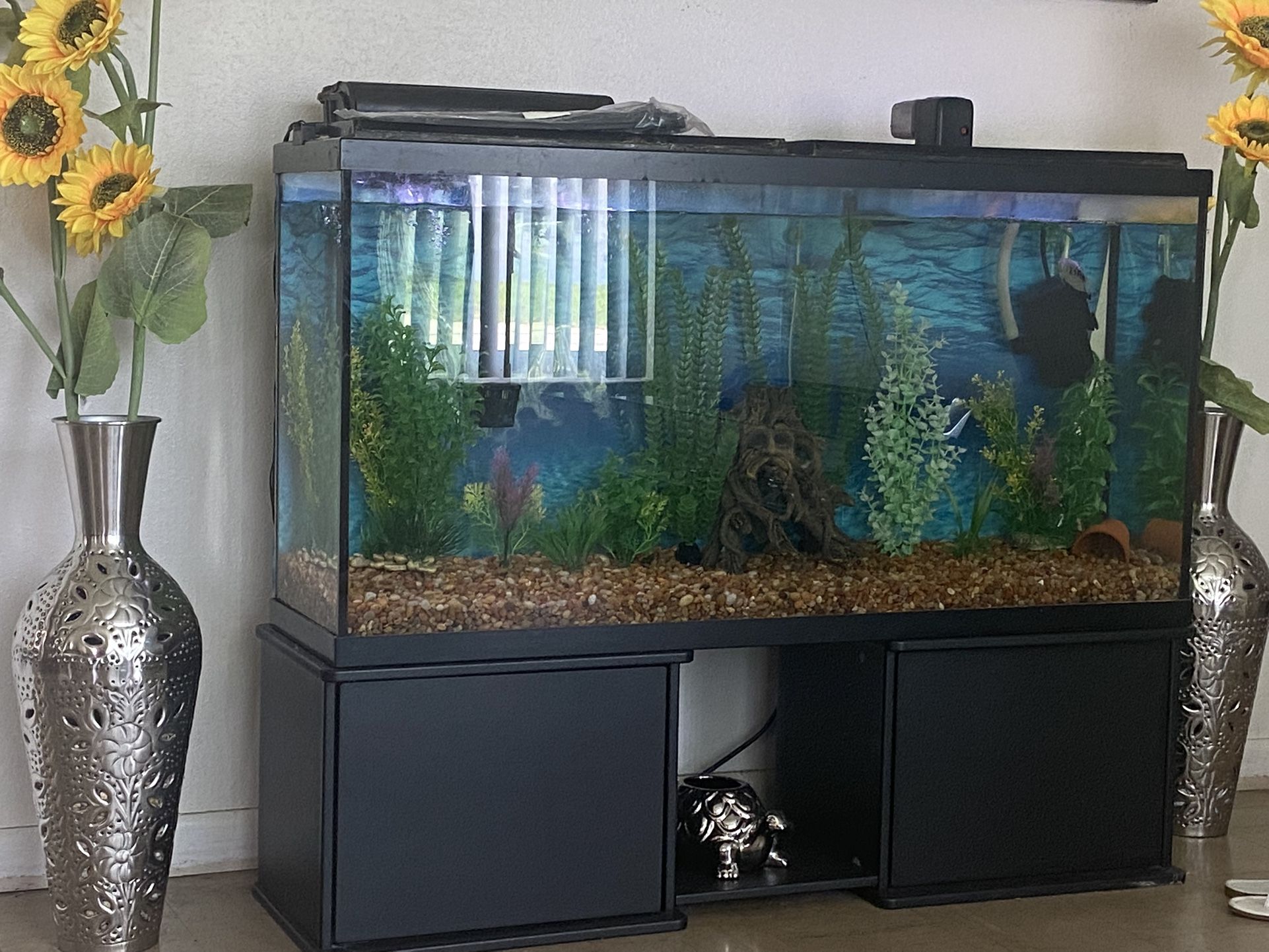 75 Gallons Fish Tank 