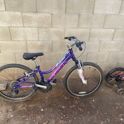 Schwinn