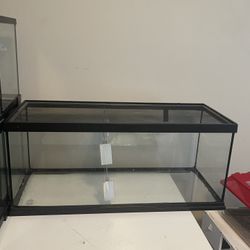 40 Gallon Reptile Tank