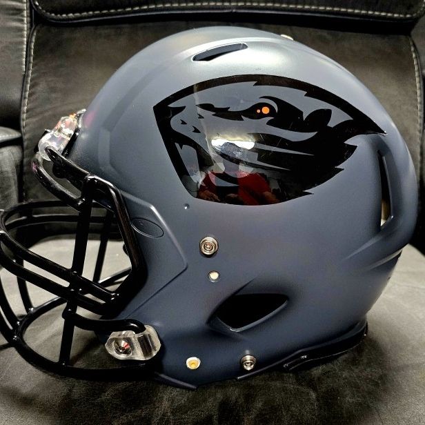 2016 new football helmets oregon 2016 Oregon State Beavers Men Of Roses Speed Helmet for Sale in Portland,  OR