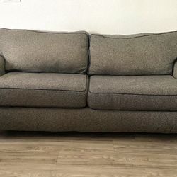 Couch/Sofa