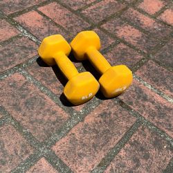 8lb Weights