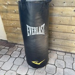 Everlast Punching Bag