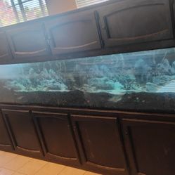 250 Gallon Long Fish Tank