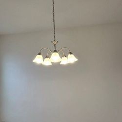 Light Fixture