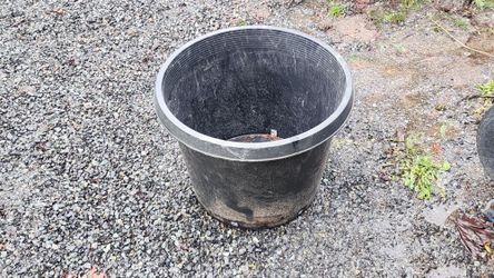 25 Gallon And 15 Gallon Pots