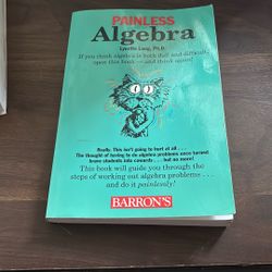 Painless Algebra Book