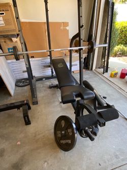 NAUTILUS WORKOUT BENCH PRESS SHOULDER PULL CURL WEIGHT SET