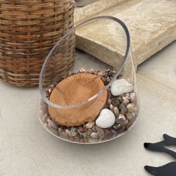 UNIQUE GLASS PLANTER BOWL