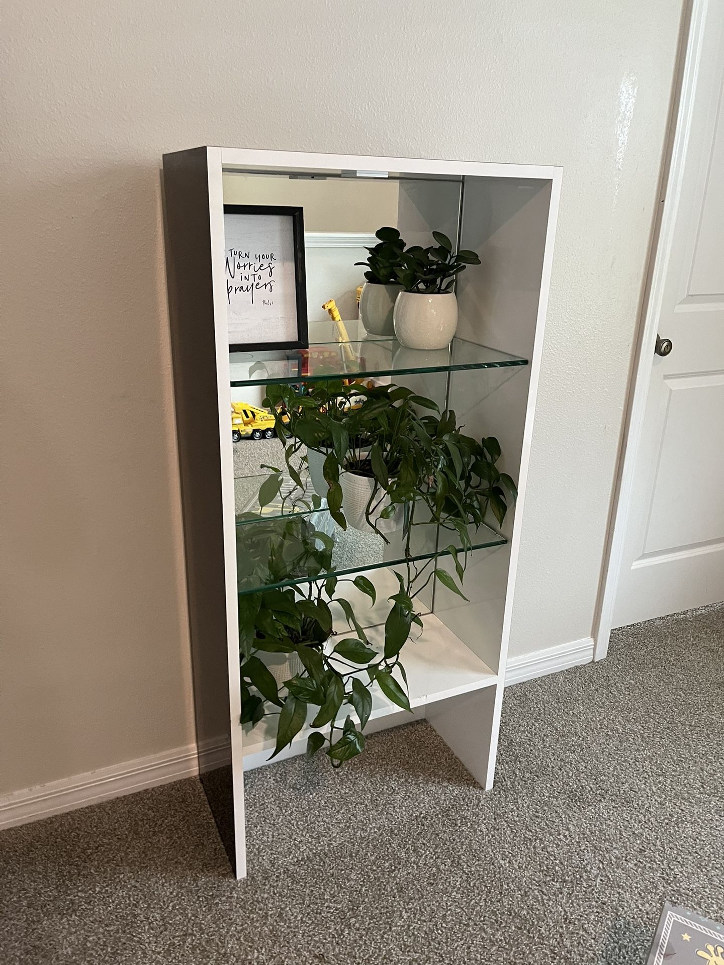 Shelf’s
