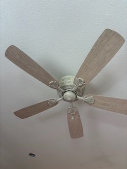 Ceiling fan
