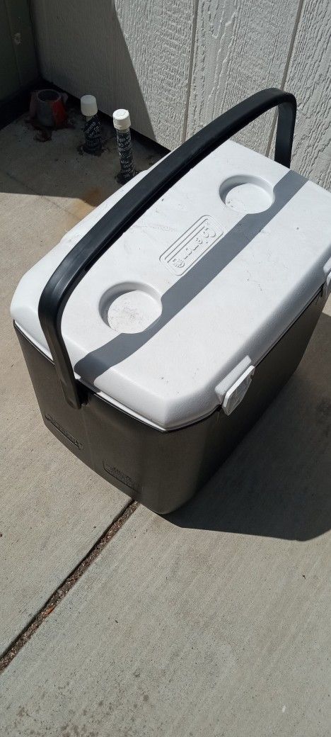 Coleman Cooler Medium