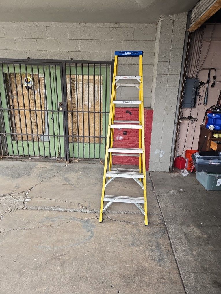 7 Foot Werner Ladder