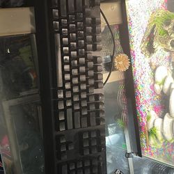 Razer Blackwidow V3 