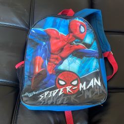 Spiderman Senior Backpack 