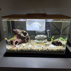 3 gallon fish tank