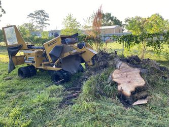 Stump Grinding