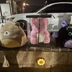 Stuffed Animals
