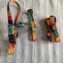 Pet  Rainbow Harness Set