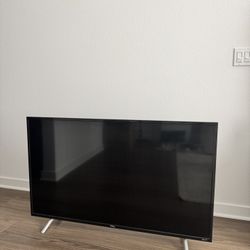  49” TV