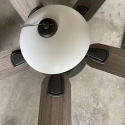 Ceiling Fans