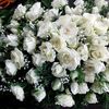 Santhosh 