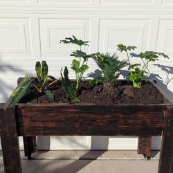 Raised Garden Planter: Shou Sugi Ban-Style
