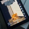 JliStore