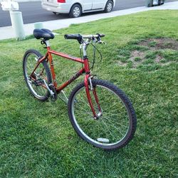 Trek 820 Mountain Track