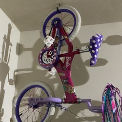 Dynacraft Girls Bike