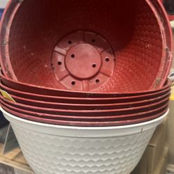 5 Pots for plants