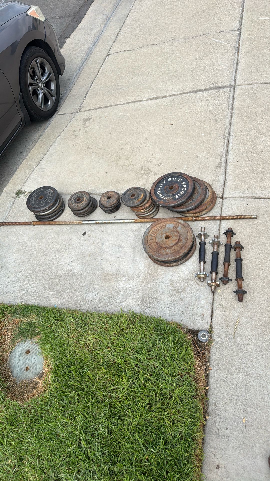 Weights OBO