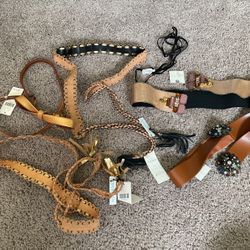 5 Sets Of Anthropology Belts