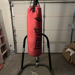 Everlast Punching Bag And stand