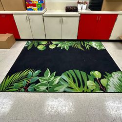 Classroom Rug/carpet