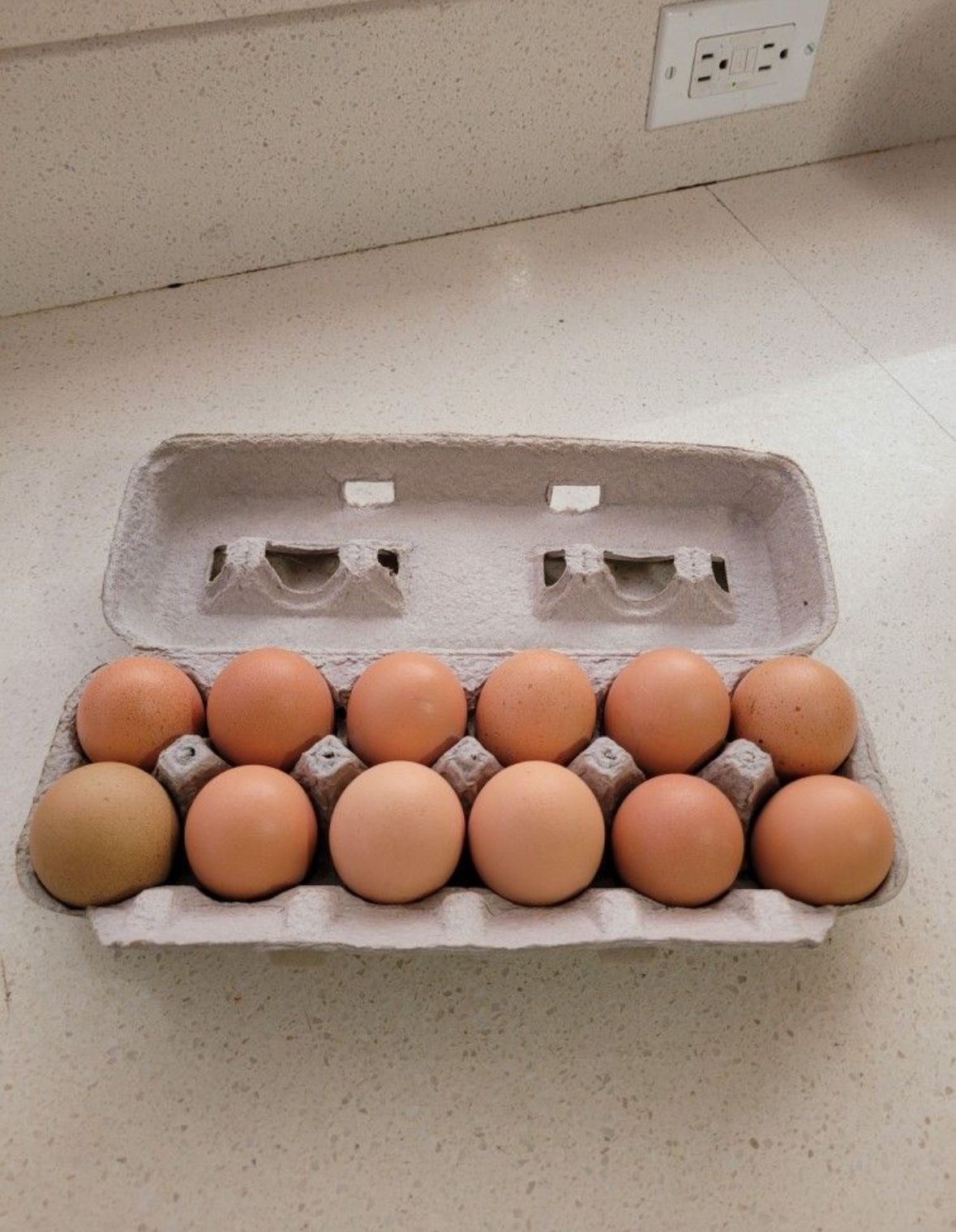 Eggs $5