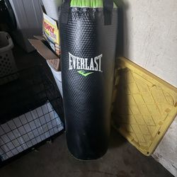 75 Lb Everlast Heavybag 