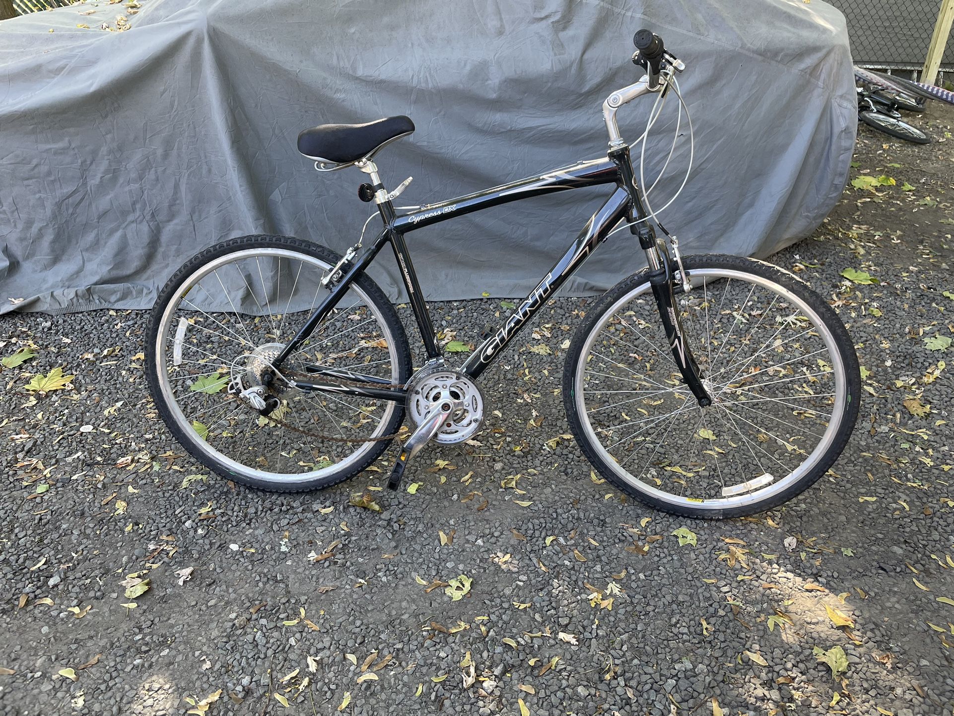 Giant Bike 29”