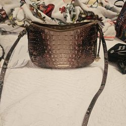 Brahmin 